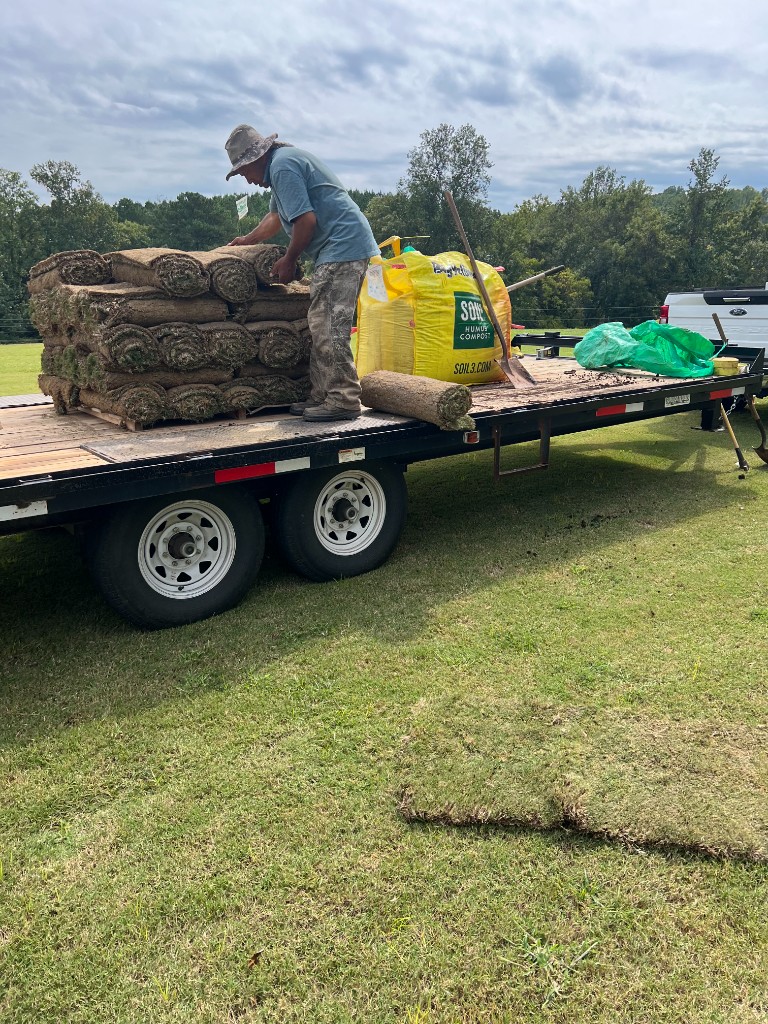 Fresh sod being laid across a leveled lawn area